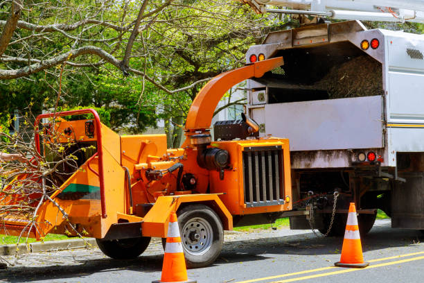 Best Affordable Tree Service  in Pleasant View, UT